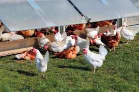 现代化规；；；；臣巴涝准庸は钅靠尚行匝芯勘ǜ