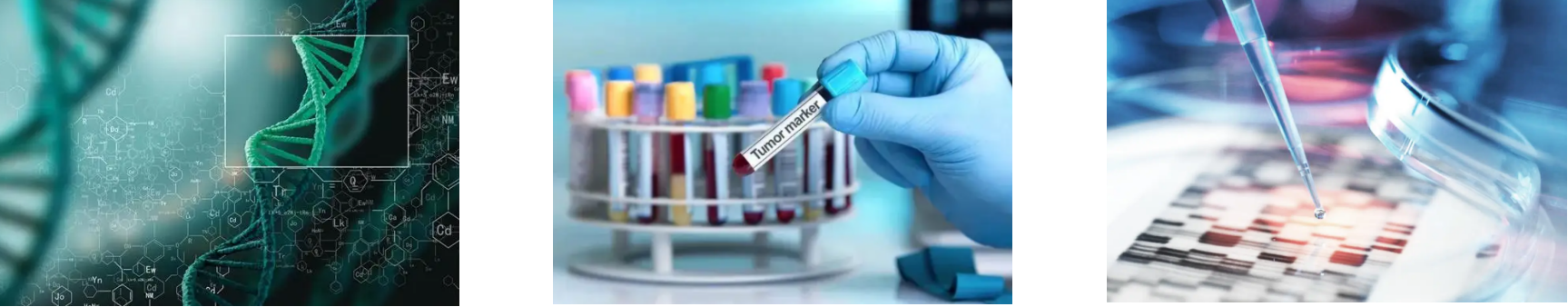 必发7790(中国区)电子集团-线上平台登录入口