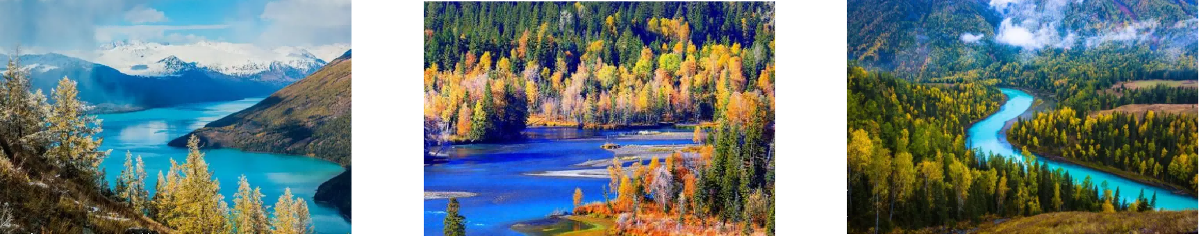 必发7790(中国区)电子集团-线上平台登录入口