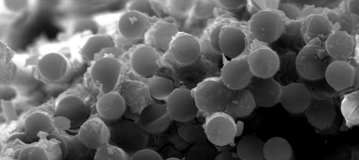 必发7790(中国区)电子集团-线上平台登录入口