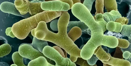 必发7790(中国区)电子集团-线上平台登录入口