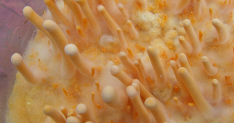 必发7790(中国区)电子集团-线上平台登录入口