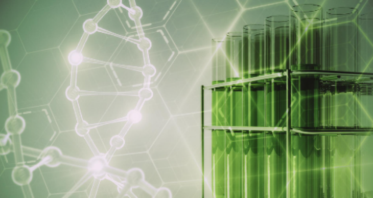 必发7790(中国区)电子集团-线上平台登录入口