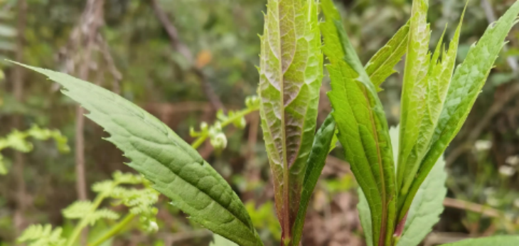 必发7790(中国区)电子集团-线上平台登录入口