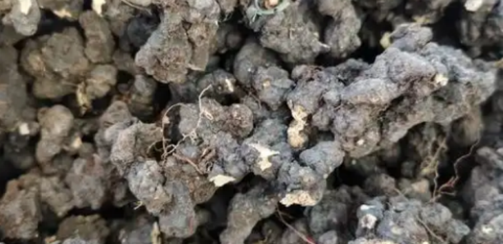 必发7790(中国区)电子集团-线上平台登录入口