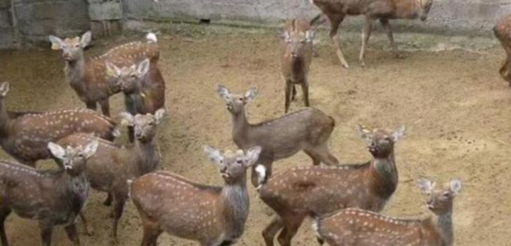 必发7790(中国区)电子集团-线上平台登录入口