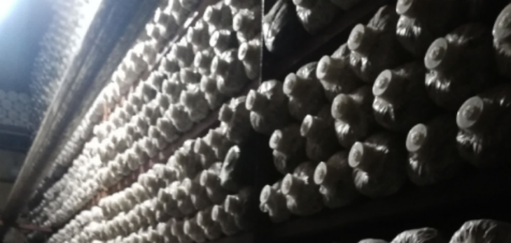 必发7790(中国区)电子集团-线上平台登录入口