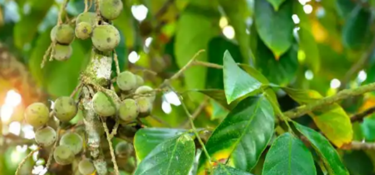 必发7790(中国区)电子集团-线上平台登录入口