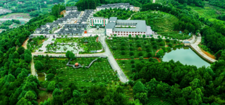 必发7790(中国区)电子集团-线上平台登录入口