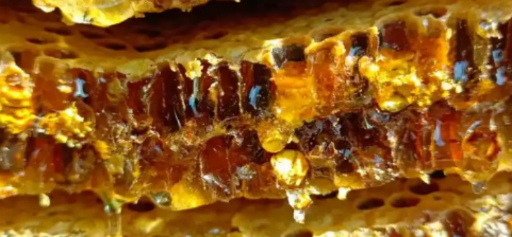 必发7790(中国区)电子集团-线上平台登录入口