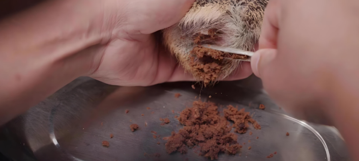 必发7790(中国区)电子集团-线上平台登录入口