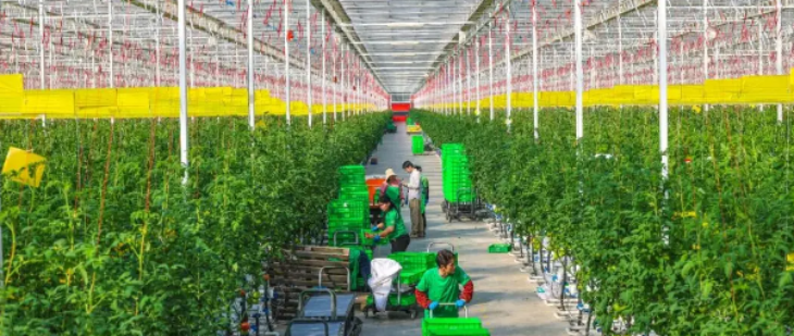 必发7790(中国区)电子集团-线上平台登录入口