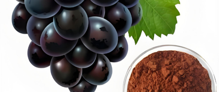 必发7790(中国区)电子集团-线上平台登录入口