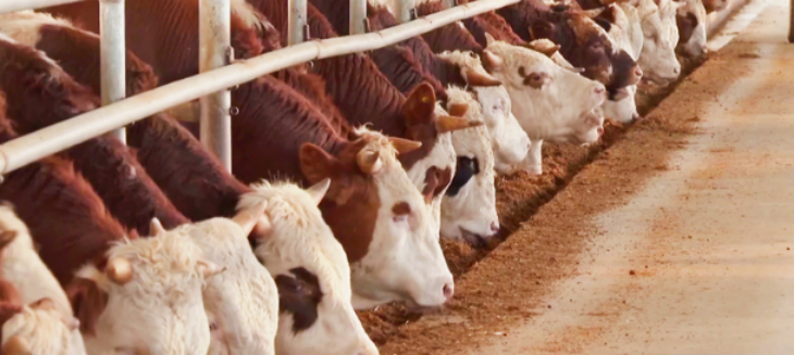 必发7790(中国区)电子集团-线上平台登录入口