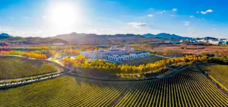 必发7790(中国区)电子集团-线上平台登录入口