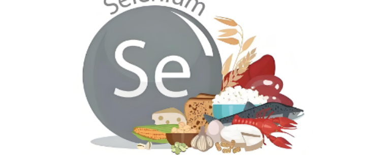 必发7790(中国区)电子集团-线上平台登录入口