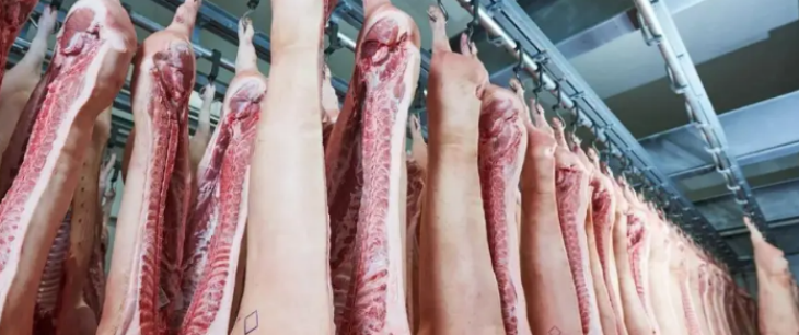 必发7790(中国区)电子集团-线上平台登录入口