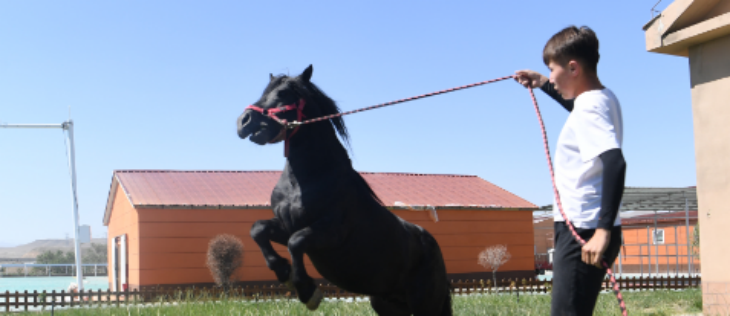 必发7790(中国区)电子集团-线上平台登录入口