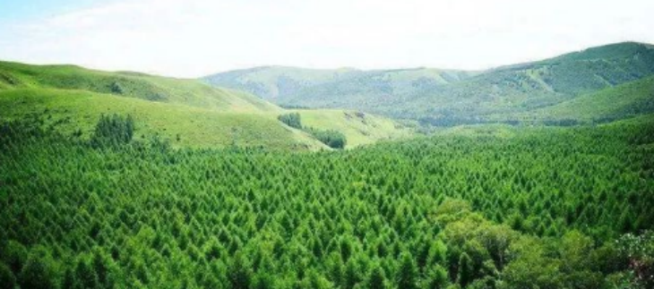 必发7790(中国区)电子集团-线上平台登录入口