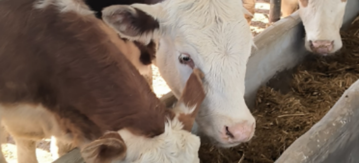 必发7790(中国区)电子集团-线上平台登录入口