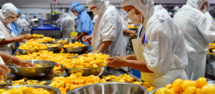 必发7790(中国区)电子集团-线上平台登录入口