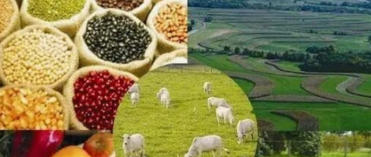 必发7790(中国区)电子集团-线上平台登录入口