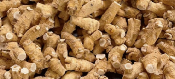 必发7790(中国区)电子集团-线上平台登录入口