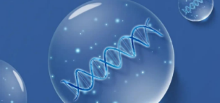 必发7790(中国区)电子集团-线上平台登录入口