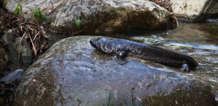 必发7790(中国区)电子集团-线上平台登录入口